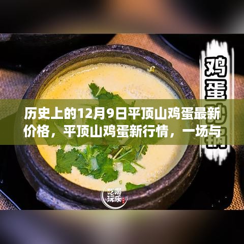 平顶山鸡蛋行情更新，自然美景唤醒心灵之旅与最新价格资讯