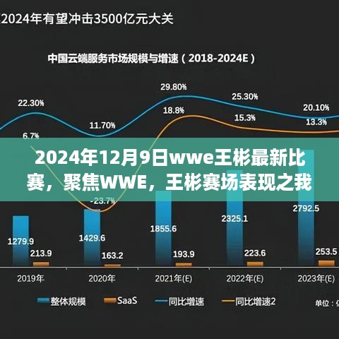 聚焦WWE赛场，王彬在2024年12月9日比赛中的表现分析