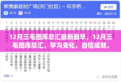 12月三毛图库总汇，学习、自信与无限可能性的启示之旅