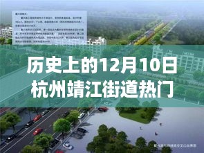 探秘杭州靖江街道，历史韵味中的小巷奇缘与特色小店的隐藏故事——12月10日热门规划揭秘