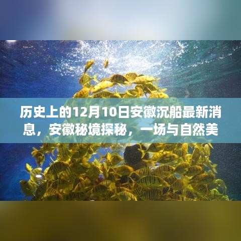 历史上的12月10日安徽沉船事件揭秘，秘境探秘与自然美景的不期而遇新解读