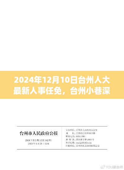 台州人大人事任免背后的故事与小巷深处隐藏瑰宝的独特魅力（台州人大最新人事任免消息）