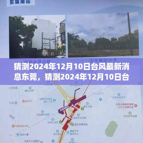 深度分析，预测2024年12月10日台风对东莞的影响及应对准备建议