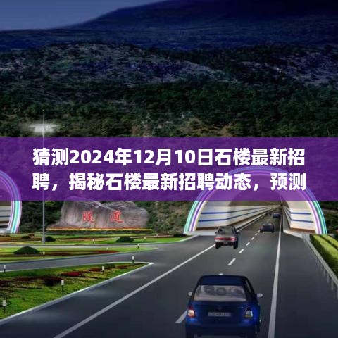 揭秘石楼最新招聘动态，预测热门职位与求职攻略（2024年12月10日版）