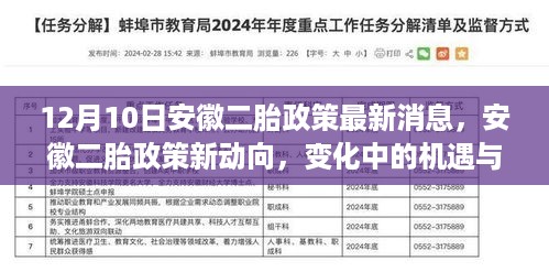 安徽二胎政策最新动态，机遇与挑战并存，学习成就自信之路