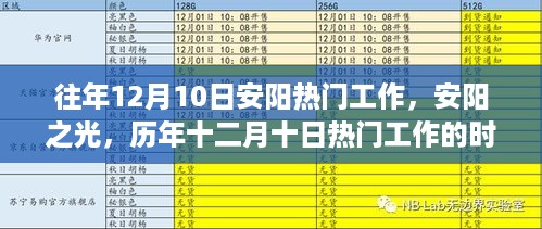 历年十二月十日安阳热门工作的时代印记，安阳之光闪耀岁月见证