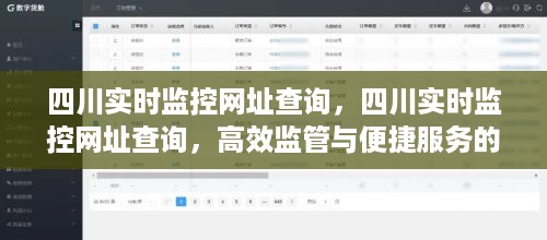 四川实时监控网址查询，高效监管与便捷服务的完美融合