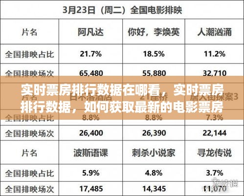 实时票房排行数据获取指南，如何查看最新的电影票房信息