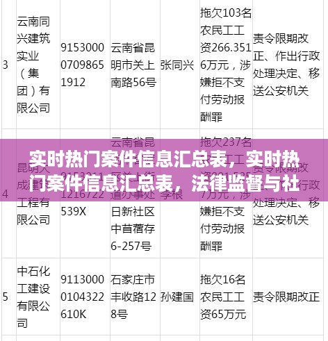 实时热门案件信息汇总表，法律监督与社会关注的新视角探索