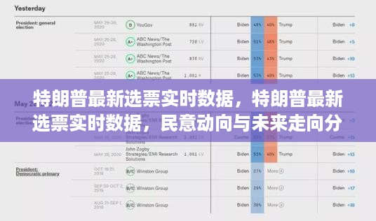 特朗普最新选票实时数据，民意动向与未来走向深度解析