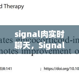 Signal肉实时聊天，探索安全通讯的新领域