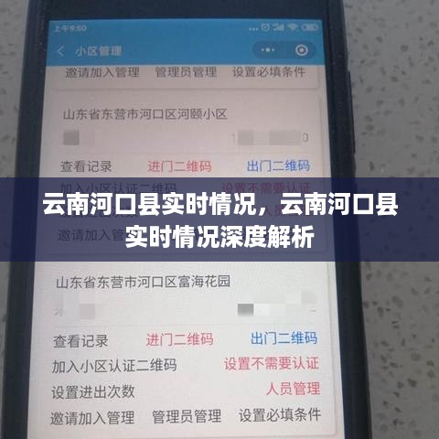 云南河口县实时情况深度剖析