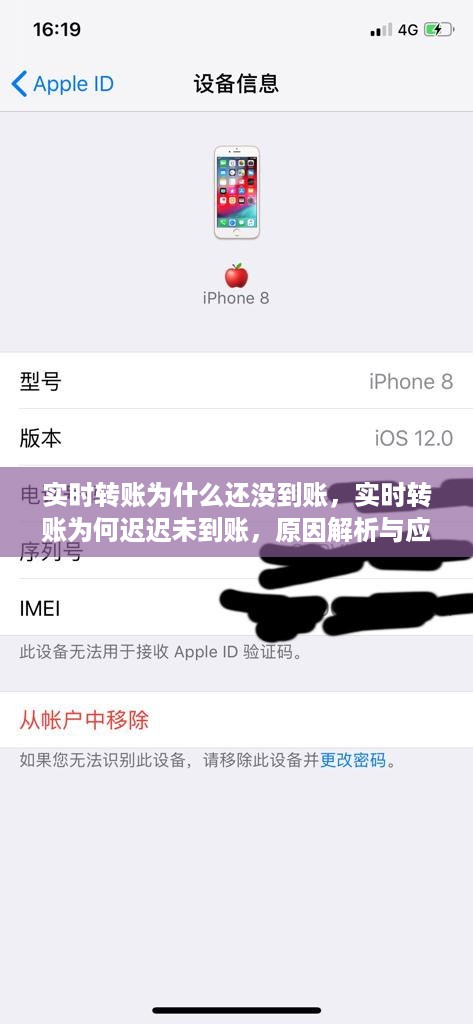 实时转账延迟原因解析及应对策略，到账延迟原因与处理方法