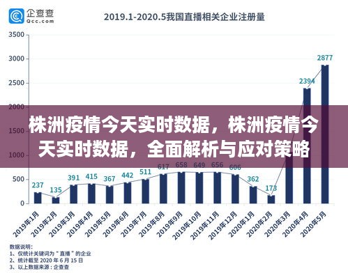 株洲疫情实时数据分析，全面解析与应对策略