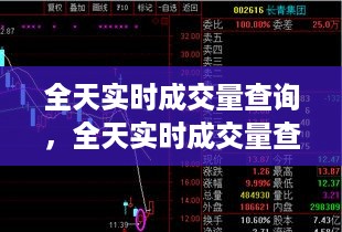 全天实时成交量查询深度解析及实际应用探讨