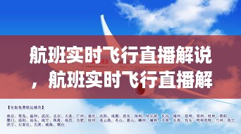 探索空中之旅的奥秘与魅力，航班实时飞行直播解说精选回顾