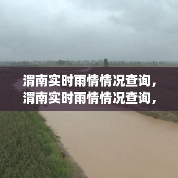 渭南实时雨情查询，最新气象动态助力防汛抗灾工作