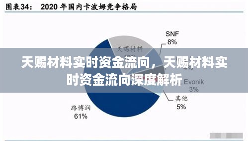 天赐材料实时资金流向解析，深度探究资金流向动态