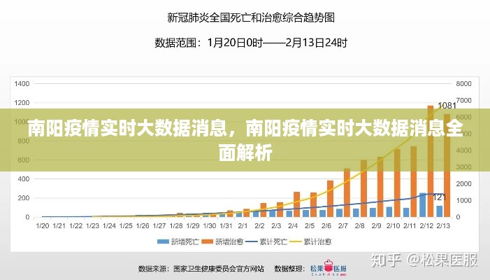 南阳疫情实时大数据全面解析与消息速递