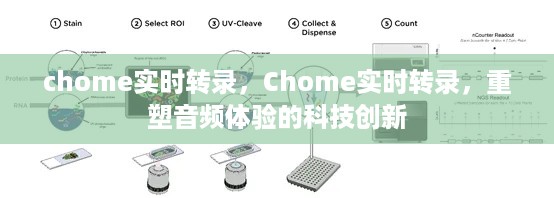 Chome实时转录重塑音频体验的科技创新之路