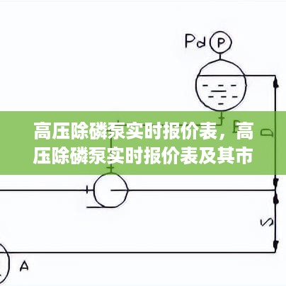 高压除磷泵实时报价表，市场应用分析与最新报价解读