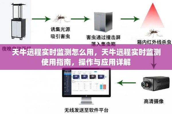 天牛远程实时监测使用指南，操作与应用详解