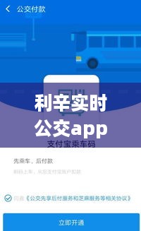 利辛实时公交app，重塑城市出行体验的创新应用