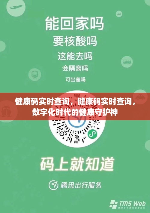 健康码实时查询，数字化时代的健康守护先锋