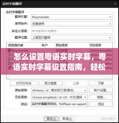 粤语实时字幕设置指南，轻松实现影音娱乐无障碍交流