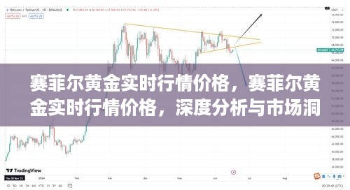 赛菲尔黄金实时行情深度分析与市场洞察，最新价格走势解析