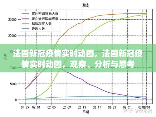 法国新冠疫情实时动图，观察、分析与思考启示