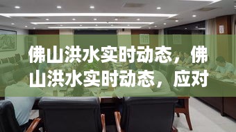 佛山洪水实时动态，共筑家园防线，应对挑战