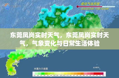 东莞凤岗实时天气动态，气象变化与日常体验