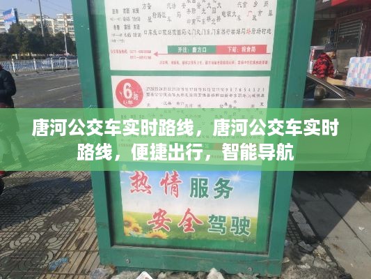 唐河公交车实时路线查询，智能导航助力便捷出行