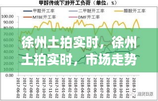 徐州土拍实时动态，市场走势、政策影响与未来展望