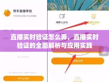 直播实时验证详解，操作指南与实践应用