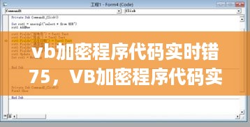 VB加密程序代码实时错误解析与解决方案，针对错误代码75的详解与修复指南