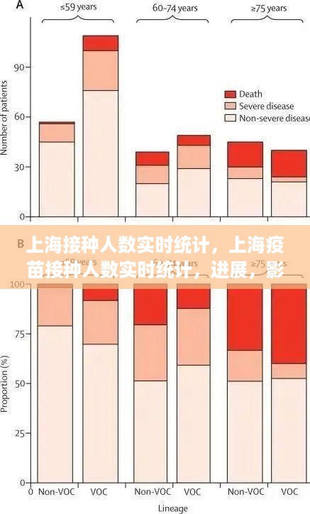 上海疫苗接种人数实时统计，进展、影响及未来展望