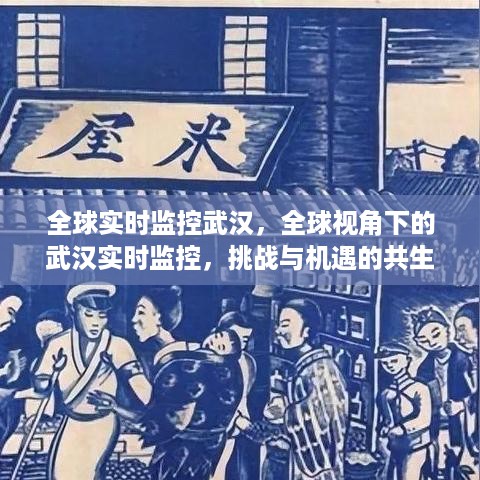 全球视角下的武汉实时监控，挑战与机遇共生共荣的共生共荣之路