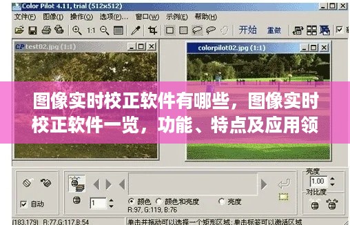 图像实时校正软件概览，功能、特点及应用领域的一览表