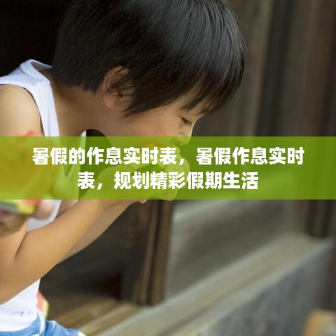 暑假作息实时表，规划精彩假期，享受充实生活