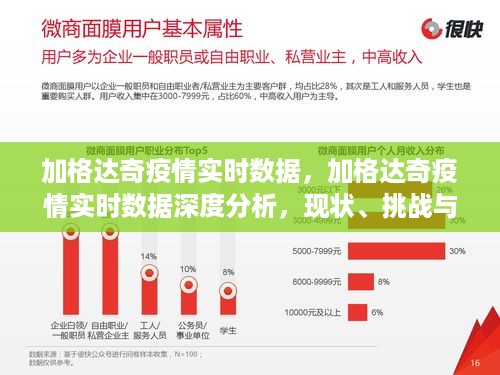 加格达奇疫情实时数据深度解析，现状、挑战与应对策略