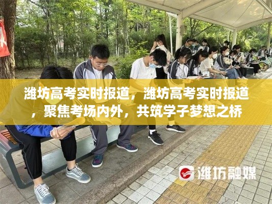 潍坊高考实时报道，聚焦考场内外，共筑学子梦想之桥