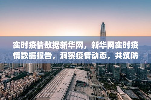 新华网实时疫情数据报告，洞察动态，共筑防控长城