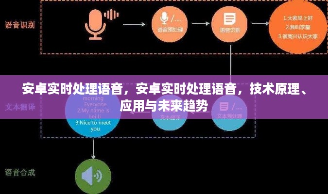 安卓实时语音处理技术，原理、应用与未来趋势展望