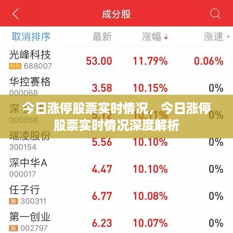 今日涨停股票实时情况深度解析与最新动态