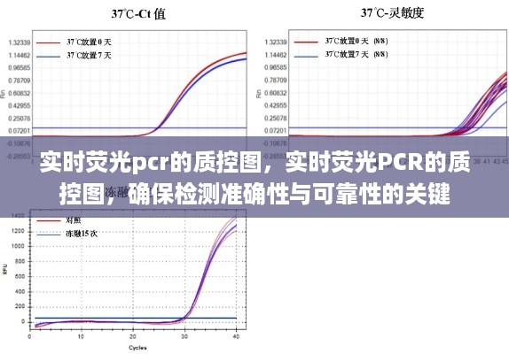 实时荧光PCR质控图，确保检测准确性与可靠性的关键