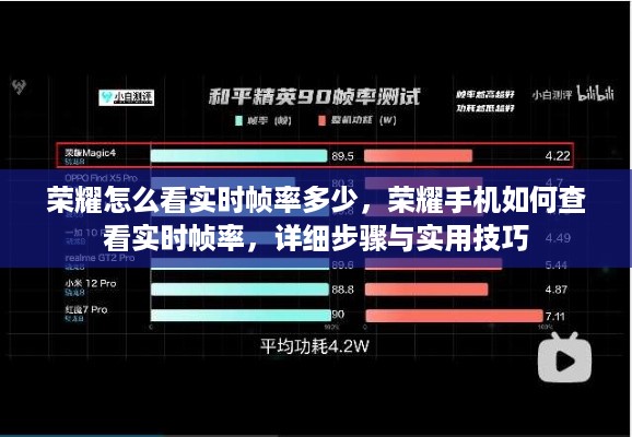 荣耀手机实时帧率查看攻略，详细步骤与实用技巧