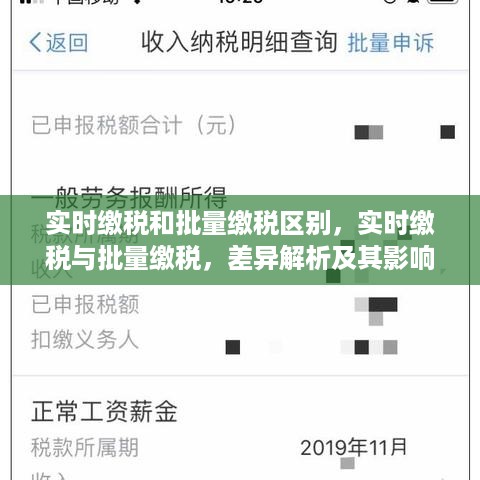 实时缴税与批量缴税差异解析，影响及探讨实时缴税与批量缴税的区别探讨