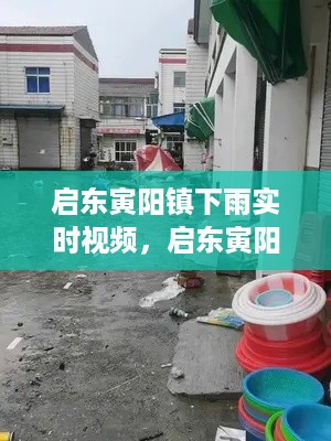 启东寅阳镇雨景实时，自然与人文的交融之美